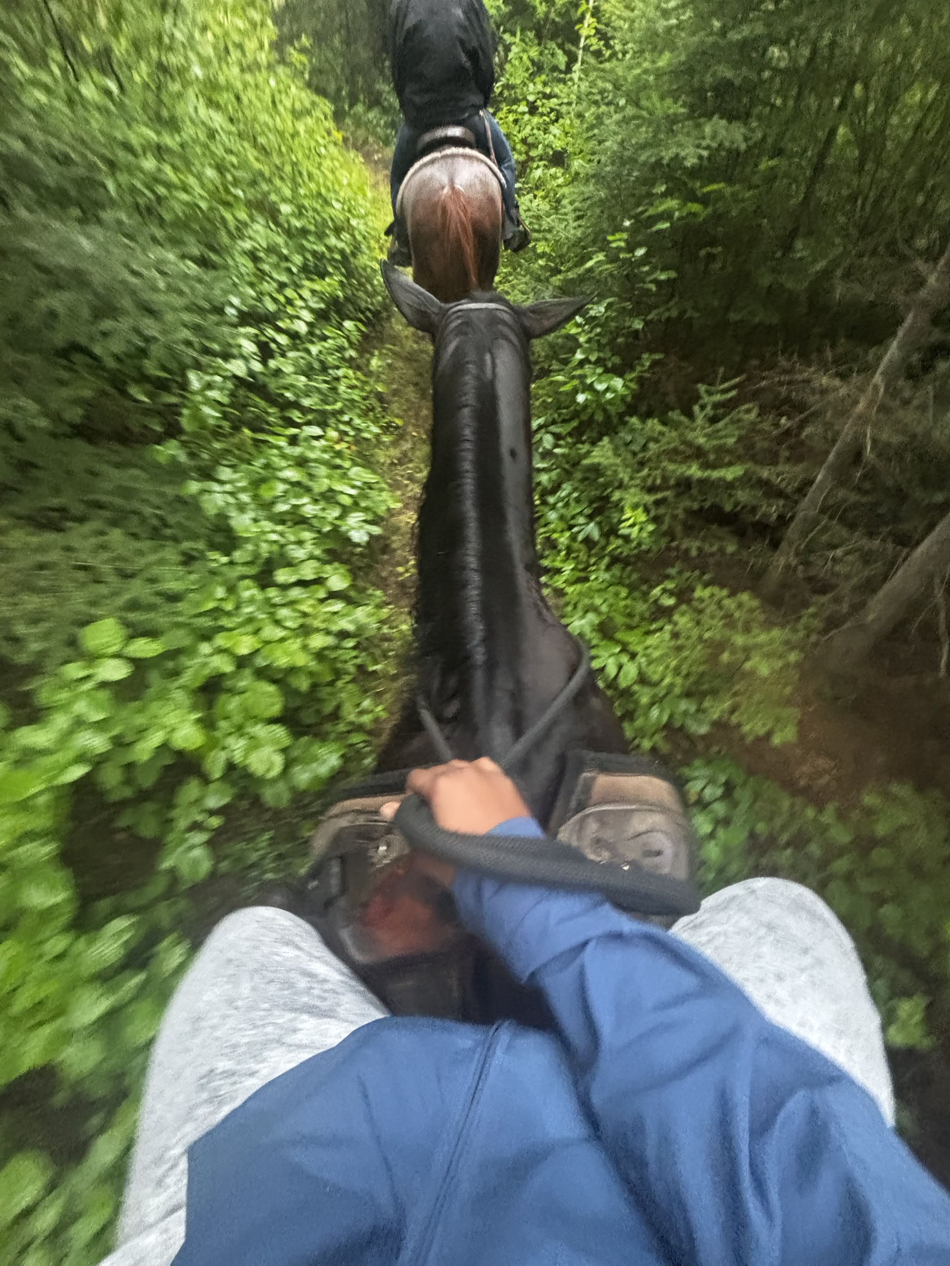 Horse riding at Falcon Lake